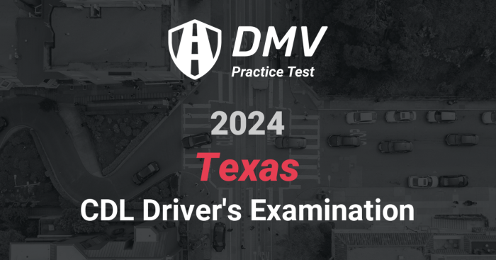 Texas cdl air brake test