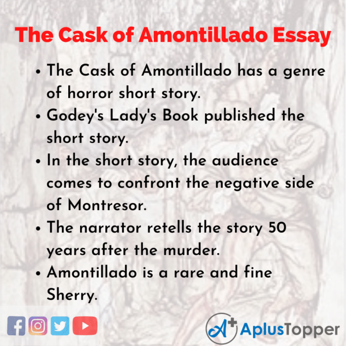 Essay the cask of amontillado