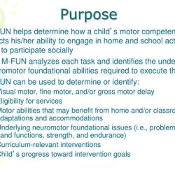 Miller function and participation scales