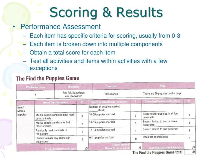 Miller function and participation scales