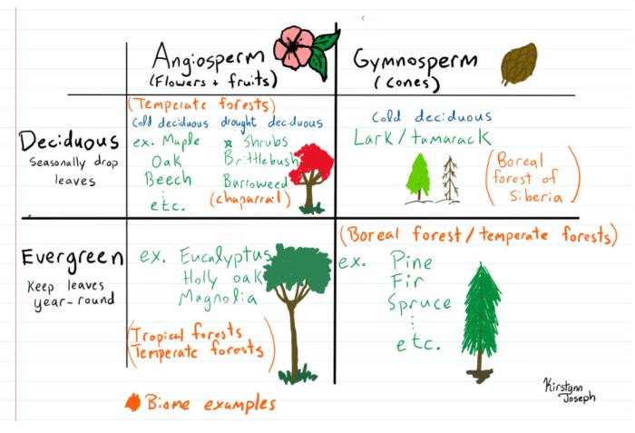 What 2 biomes are closest to where you live