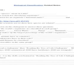 Classification of matter worksheet pogil answer key