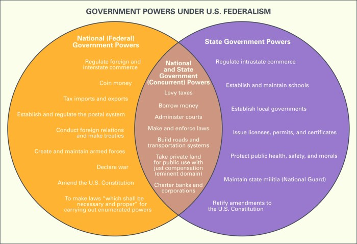 Similarities between democratic vs. authoritarian govts