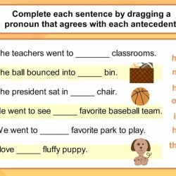 Agreement of pronouns and antecedents worksheet answers